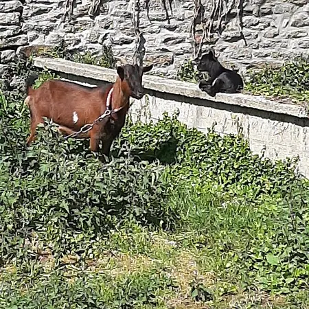 An Douar Menez Gourin